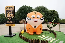 中秋月圆，合肥野生动物游园氛围感拉满！图片
