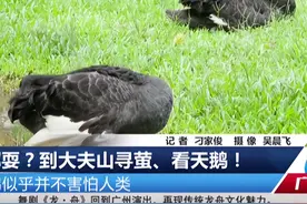 码住！广州这些夏日好去处，第一个就心动了！图片