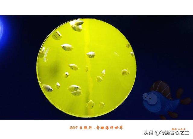 山东行游影记（91）—日照奇趣海洋世界（二）