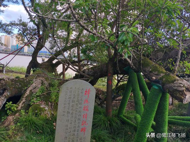 2025国庆第三天温州游：（一）江心屿