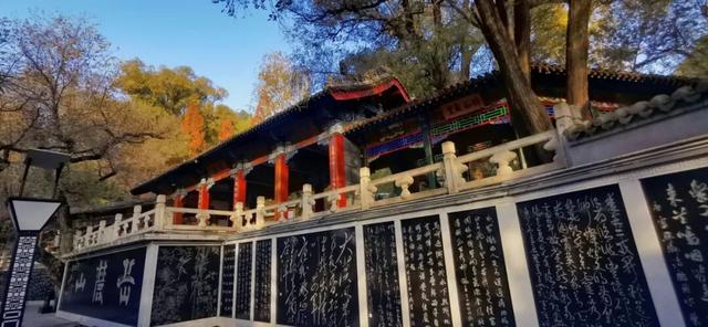 “咔咔”声不停！我们的镜头里，藏着临洮所有的浪漫