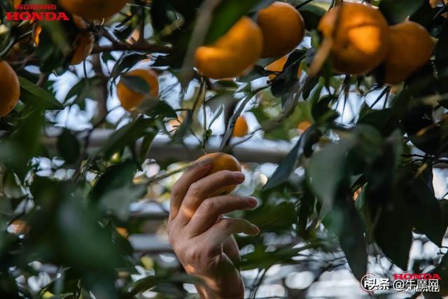 体验田园生活 探索陶艺世界 | 骑NS150GX在苏州，周末就该这样过！