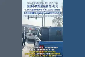 最新消息！皮卡拉柴油被罚后续：省里介入调查，相关案例不予处罚图片