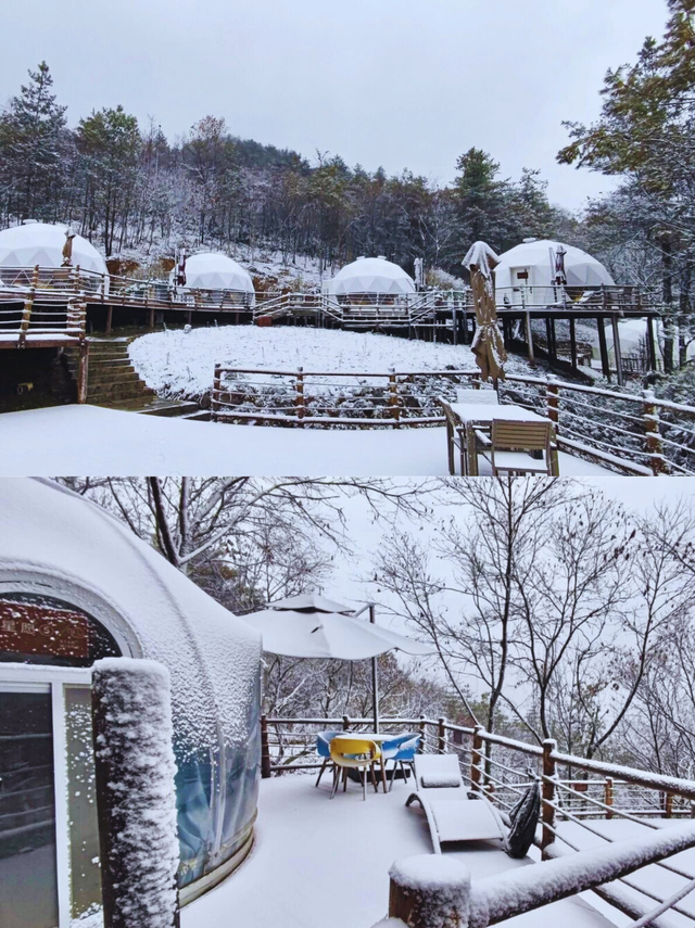 重庆初雪来袭❄️！开州雪宝山秒变冰雪童话！