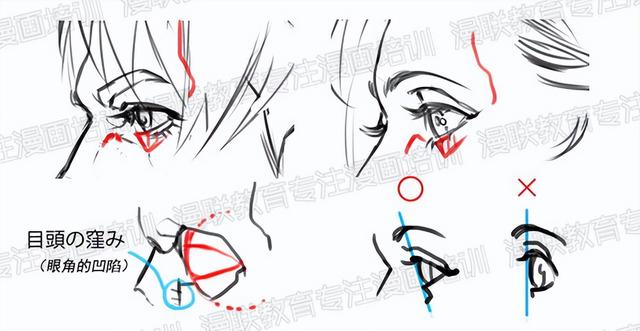 零基础绘画教程！正脸和侧脸的超详细画法讲解