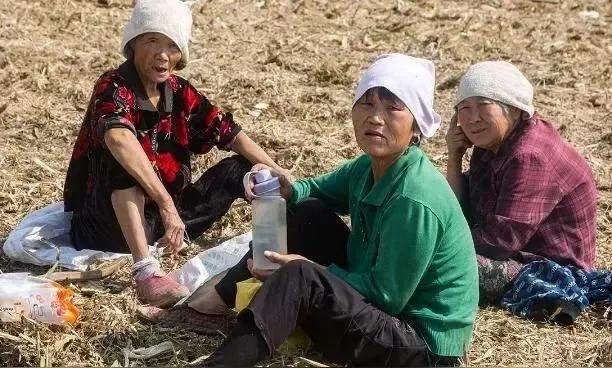 农村农民一个月有多少养老金
