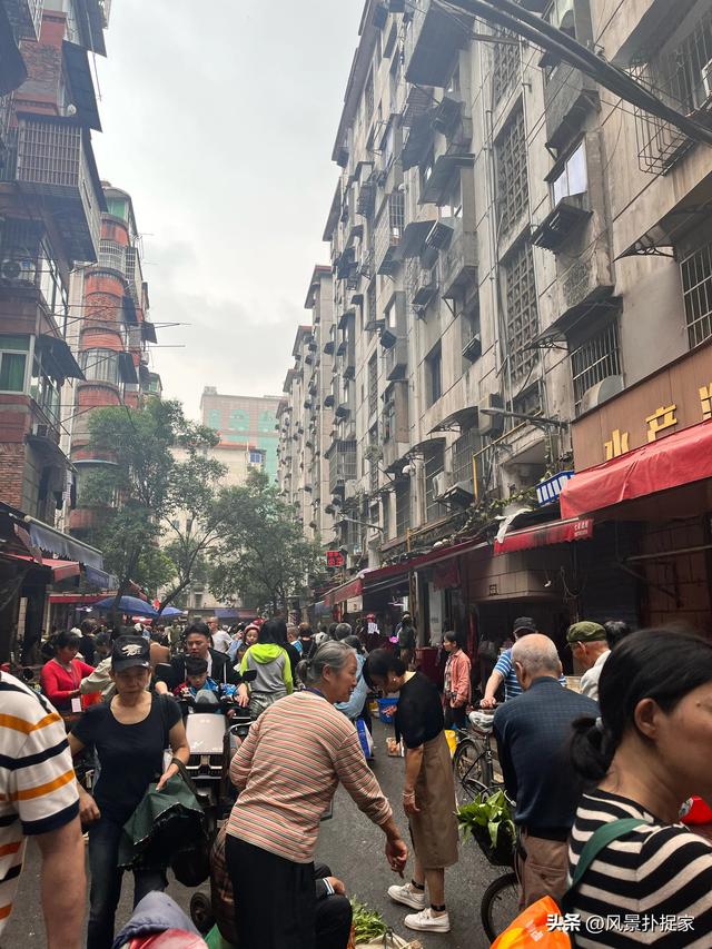 暑假的南昌大士院，热闹非凡