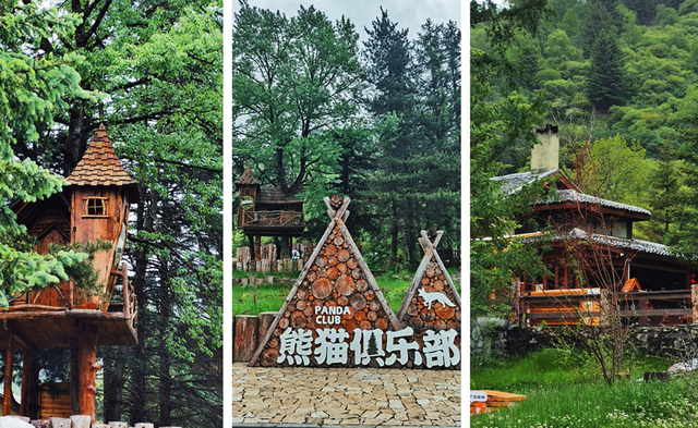 40℃你别来添乱，我要去白马王朗过15℃的夏天