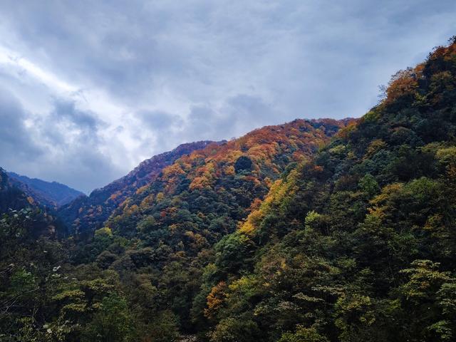 南行漫记：汉中南郑区到巴中恩阳区，9小时233公里的行走路书