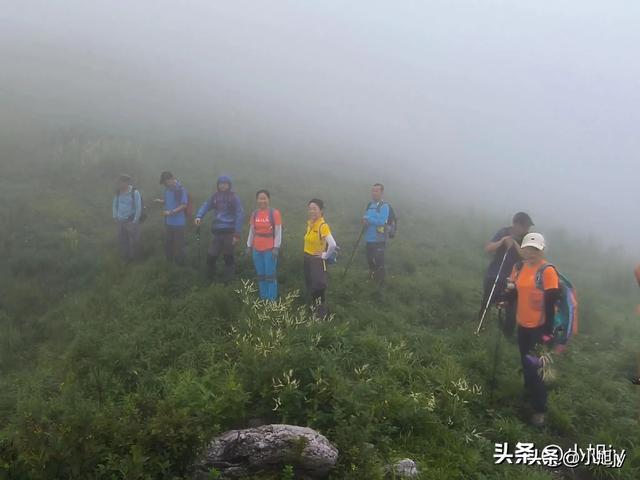 来呀，去白云山看金莲花，辽阳县大黑山风景区境内的白云山