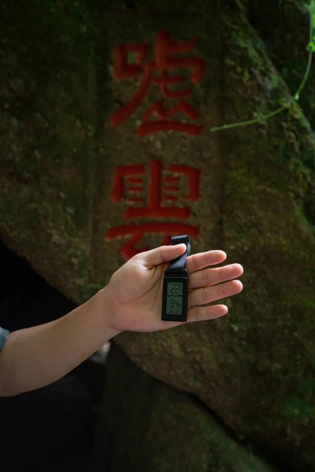 全域好水 亲水纳凉 | 热浪围城？武夷山“清凉刺客”申请出战