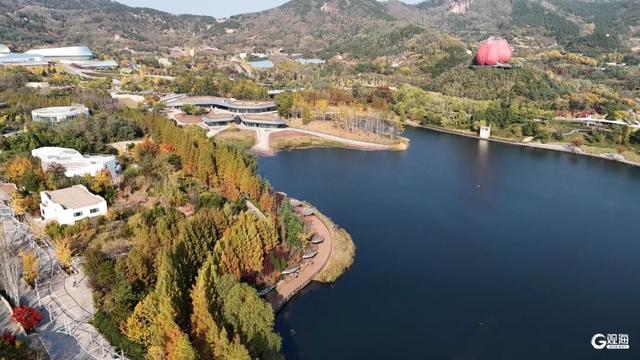 【绿色打卡地】处处皆美景，初冬的世博园被焦糖色填满