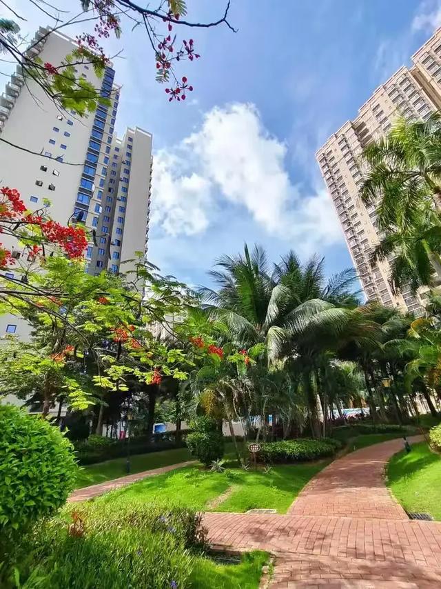 三亚不好玩了?东北人大批撤离,离开原因不是物价,而是生活现实