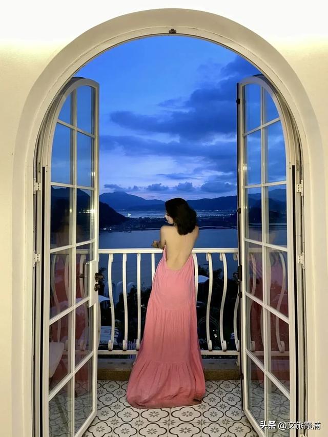 霞浦花沁石,海边莫奈花园的秋冬独属烂漫