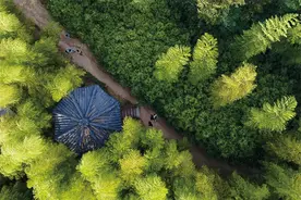 全罗道热门景点推荐——潭阳郡竹绿苑图片