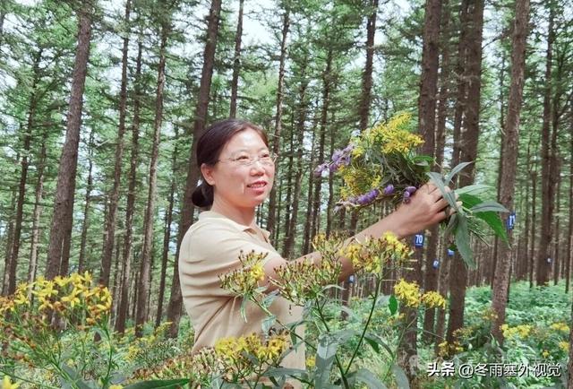 洪涛文苑：康彩兰《最美的秋天》