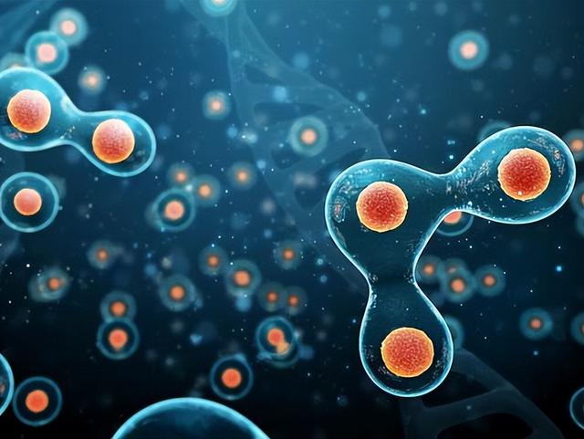 百龄干细胞：细胞是怎么分类的？