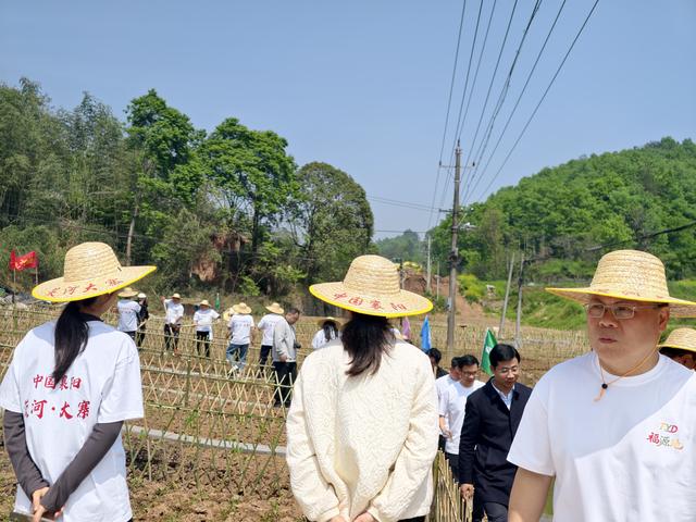 我在茨河有块儿田，种出都市人的田园梦