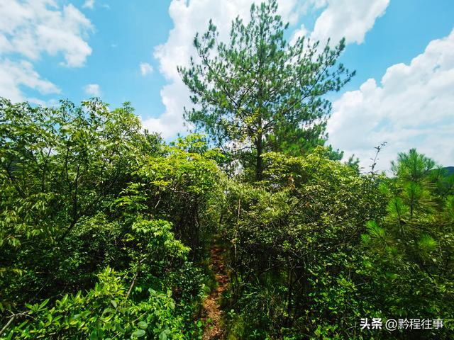 老人岩与磨刀岩：走过万仞崖壁之间不足一尺宽的险峻小道