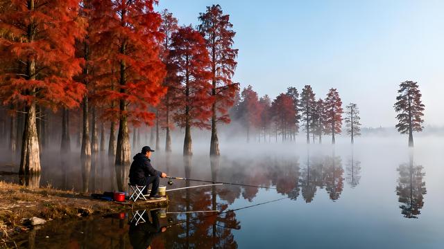 霜染庐州冬韵起，山湖叠翠入诗行 —— 安徽合肥初冬漫游记
