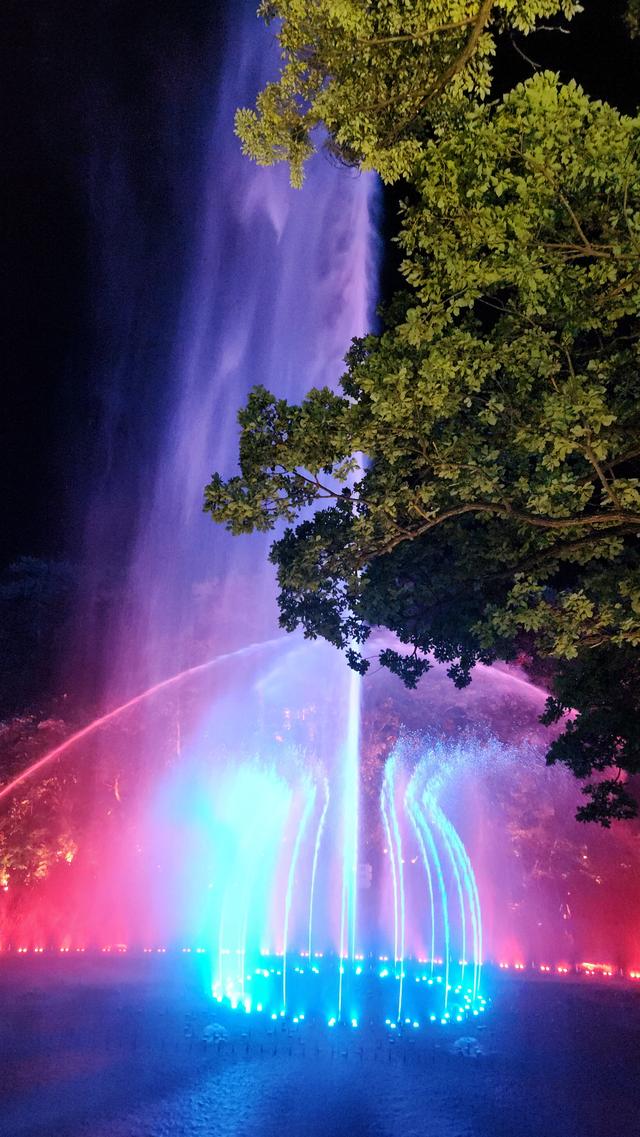 “好运莲莲 千山奇妙夜”水幕光影夜游璀璨启幕