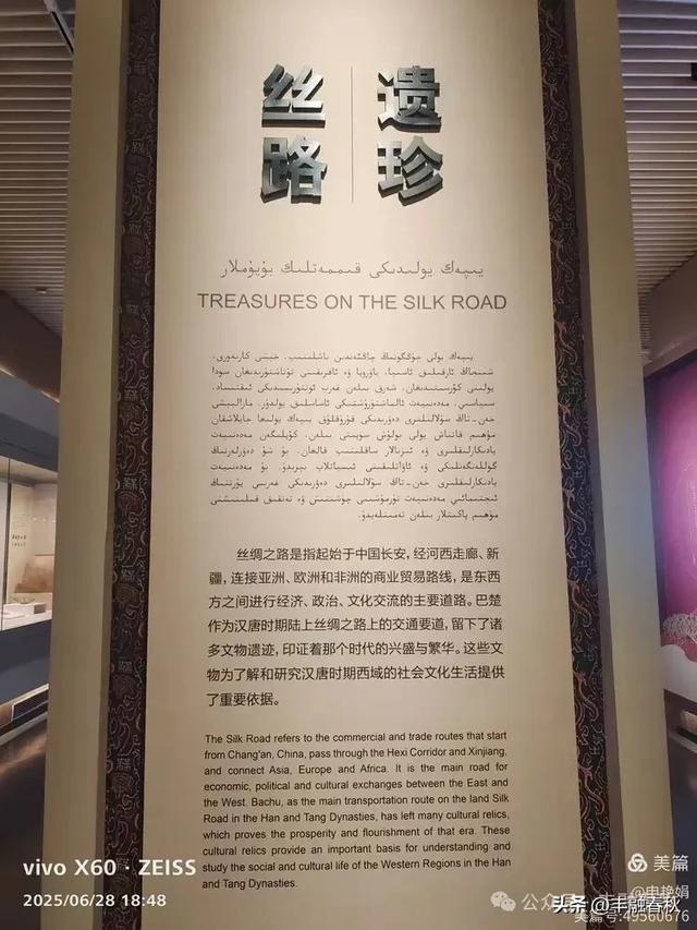 探秘丝路明珠,邂逅巴楚千年文明——走进新疆巴楚博物馆|申艳娟