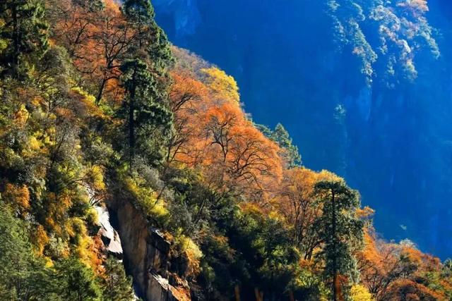 藏在秋日里的芦山漫游指南