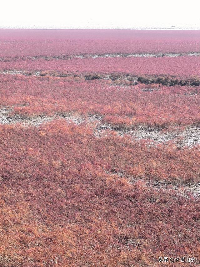 2025辽宁赏秋之旅日记(5)——从本溪前往盘锦 游览红海滩景观