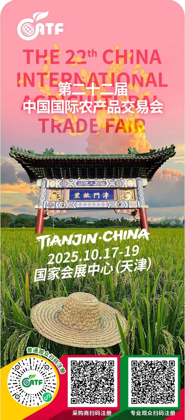 今天起！全国美食齐聚这里，地铁直达→