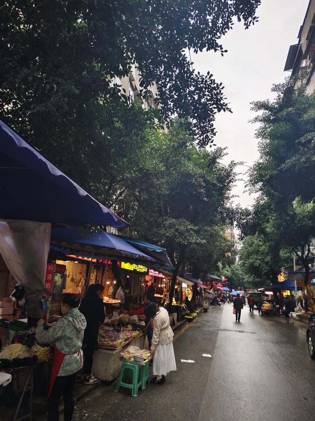 南行漫记：放慢行走的脚步，我们在南充休整