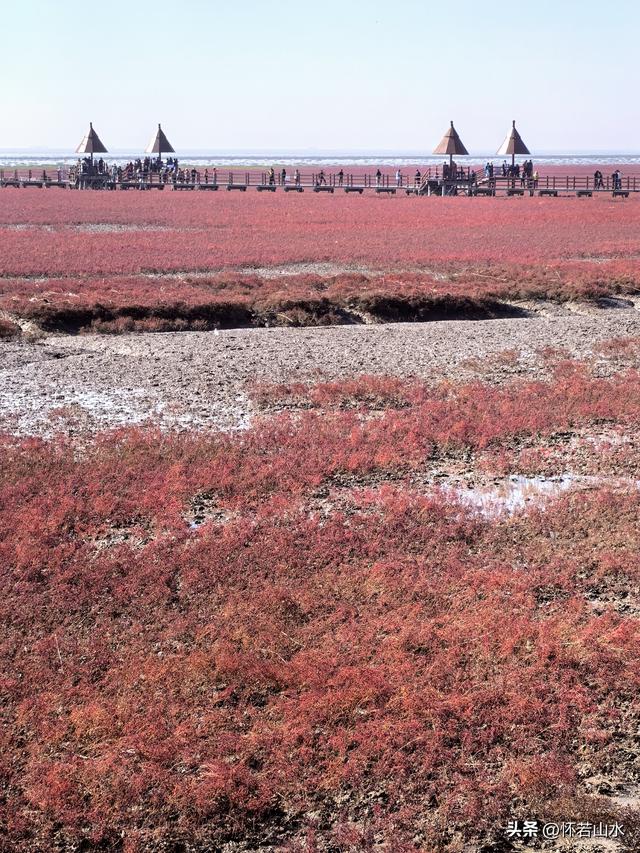2025辽宁赏秋之旅日记(5)——从本溪前往盘锦 游览红海滩景观