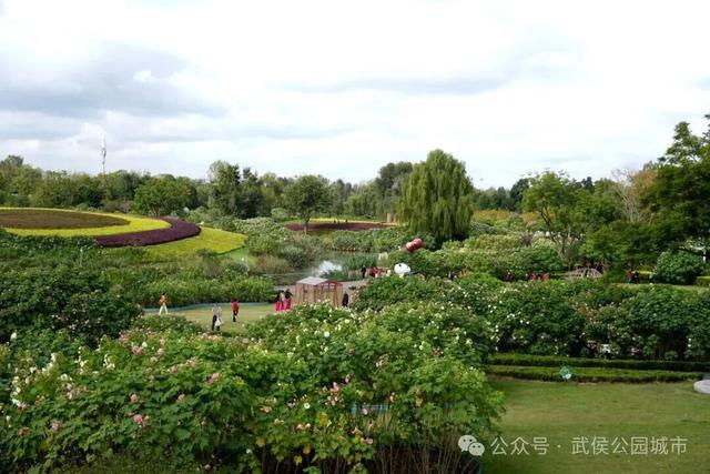 天府芙蓉园花开烂漫，邀请你来一场和秋天的浪漫约会