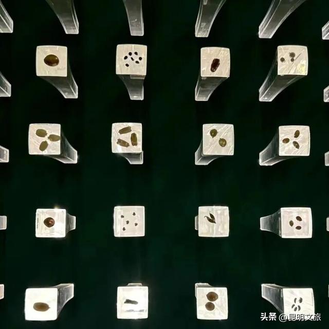 初冬出片C位！昆明这个地方必须榜上有名，周末抓紧冲~