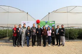 钱大妈与鑫荣懋携手共建，蓝莓和国产葡萄类标准种植基地正式揭牌图片
