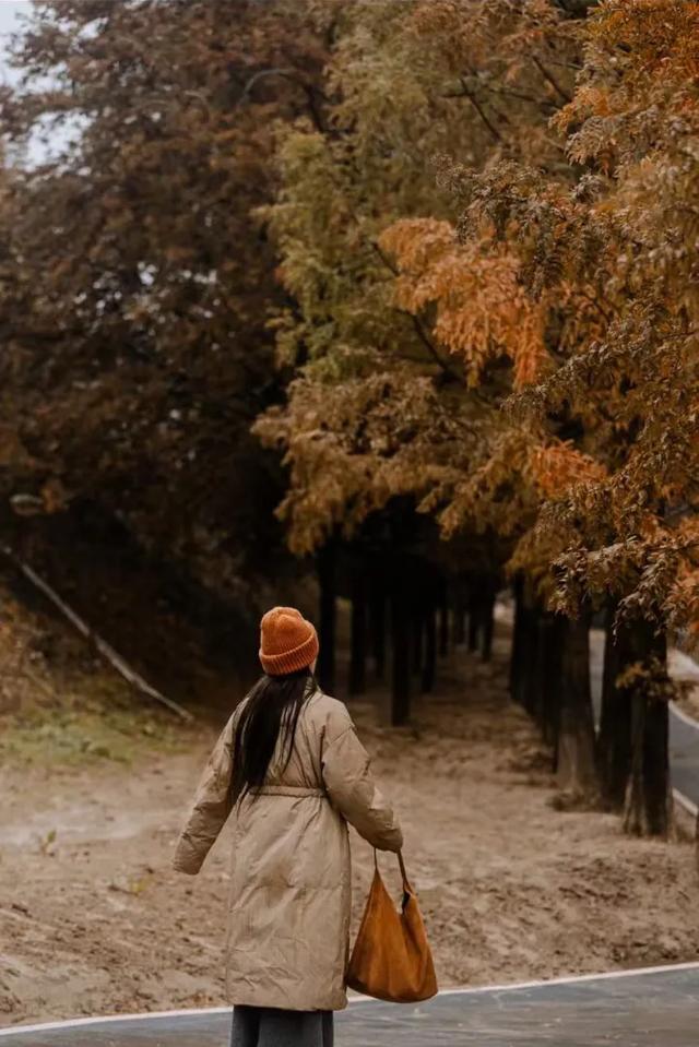 西安城区4个绝美秋景打卡地！