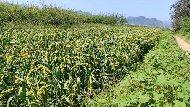 探秘西北梁：一场藏在封龙山余脉里的秋日驴行