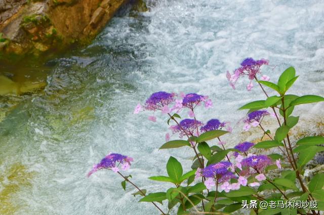 茨竹沟——鸡冠山深处的清凉秘境