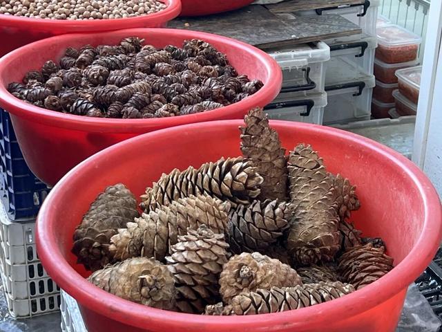 冬游牙克石：这厢有礼