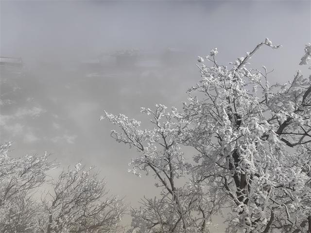 雪霁云海涌 泰山披银装