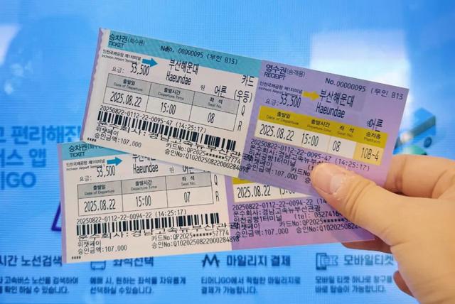 海鲜自由！美景自由！藏在半岛南端的宝藏海滨之城~