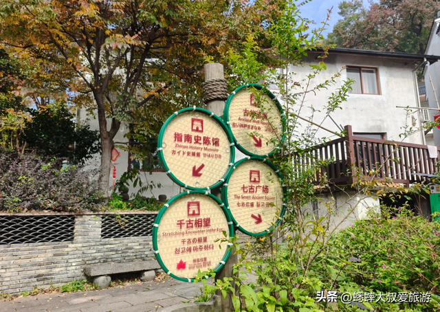 来海拔600米的杭州顶流古村吧，坐拥梯田、银杏、民宿，免费好玩