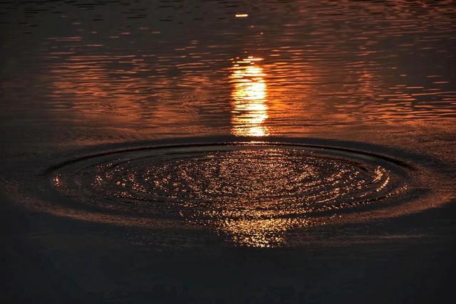 你的长相，是宇宙发的“任务卡”