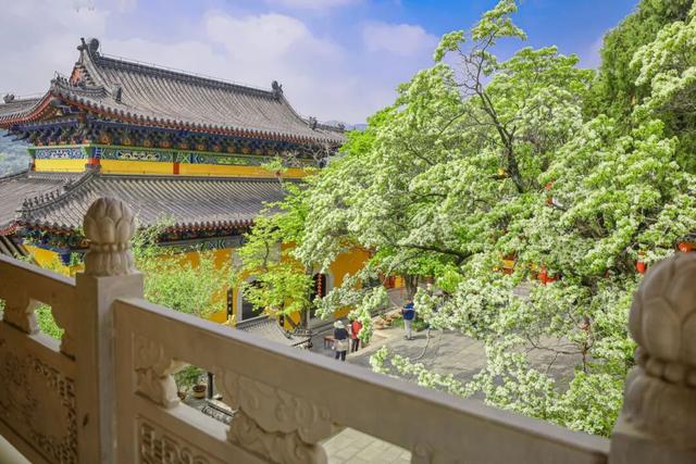 连云港这里三上央视！