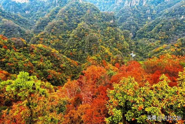 漫山红叶等你来赏，感受秋日兴隆山里的惬意时光