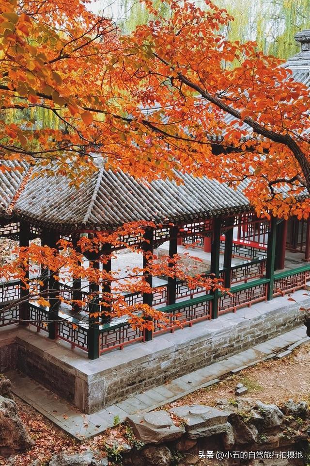 11月旅游的目的地推荐|每一个都是出片圣地的存在