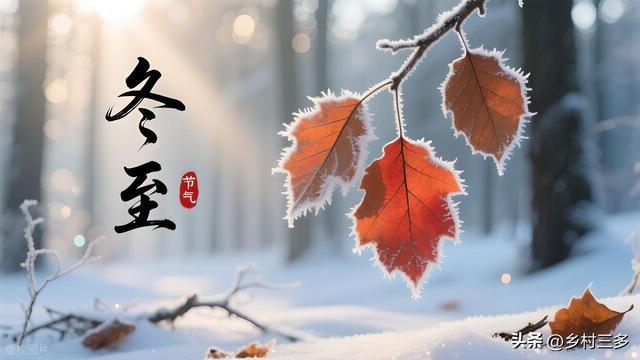 “有雪无雪，就看冬至”，今日冬至，今冬雪多冷到哭？看农谚咋说