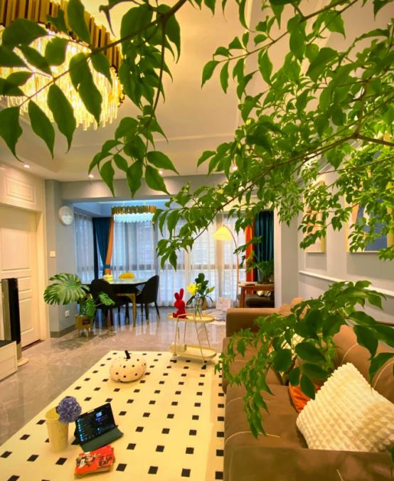 河北一太太，在“客厅种大树”	，那叫一个壮观，妥妥的视觉盛宴