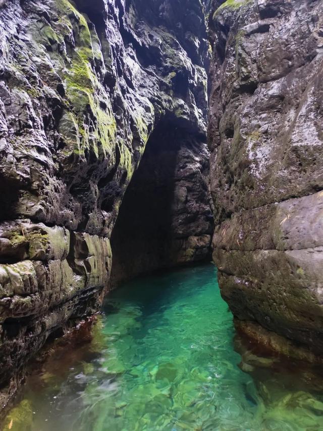 遵义新玩法！23℃的清凉盛景，邀你共赴一场与自然的浪漫之约