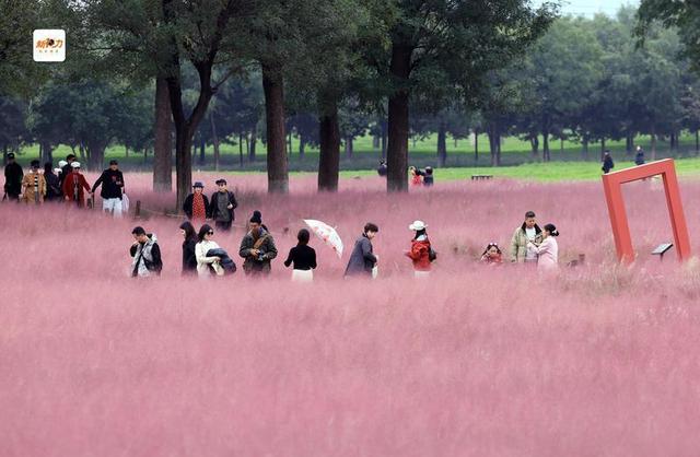 古城与秋叶的交响