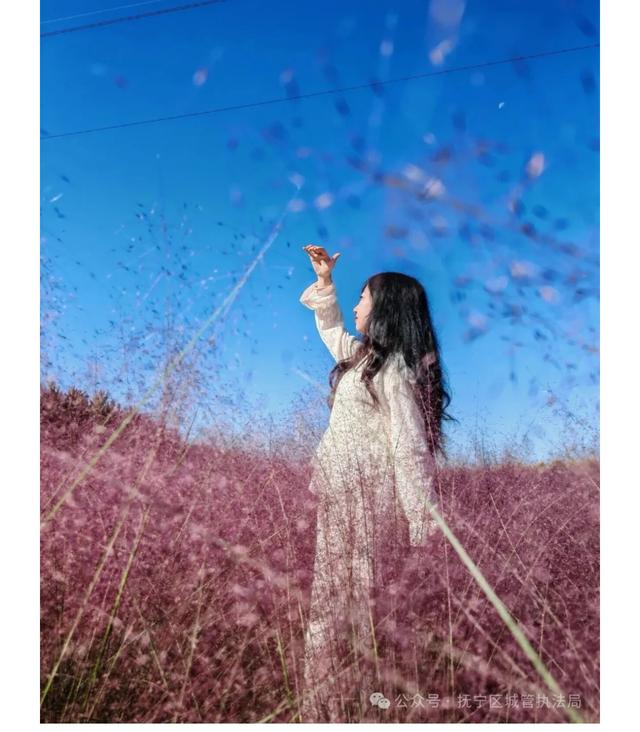 一眼被沦陷的秦皇岛枫林大道